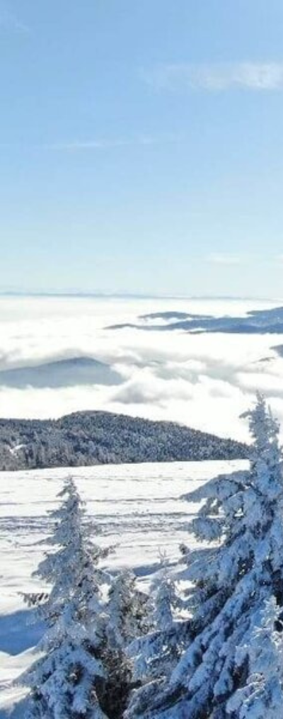 flor-event.eu - vue sur le paysage enneigé en Alsace