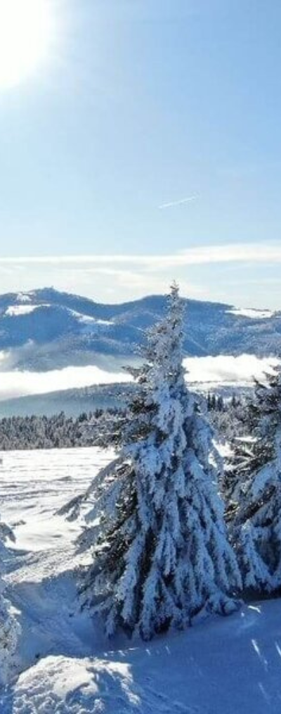 flor-event.eu - vue sur le paysage enneigé en Alsace