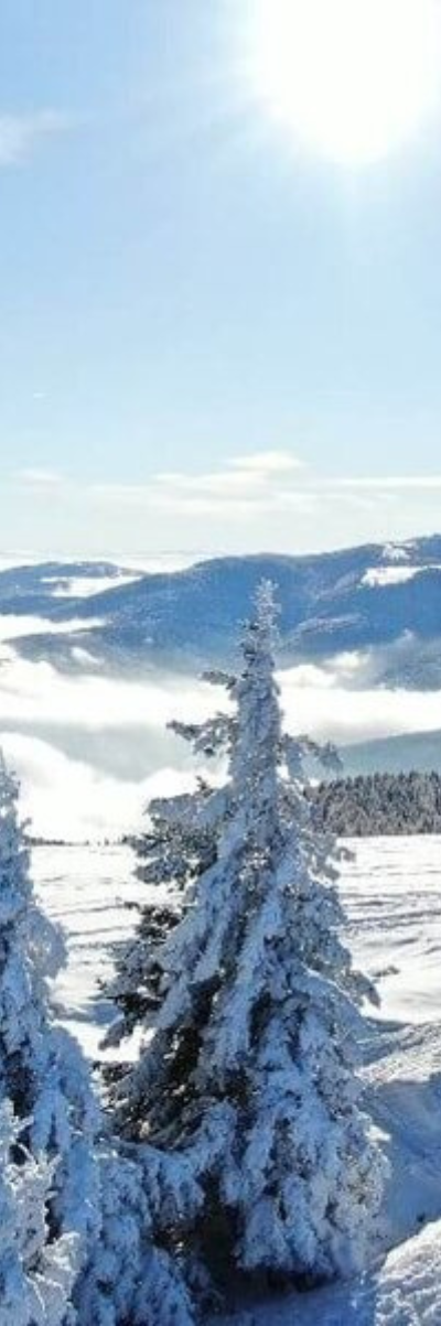 flor-event.eu - vue sur le paysage enneigé en Alsace