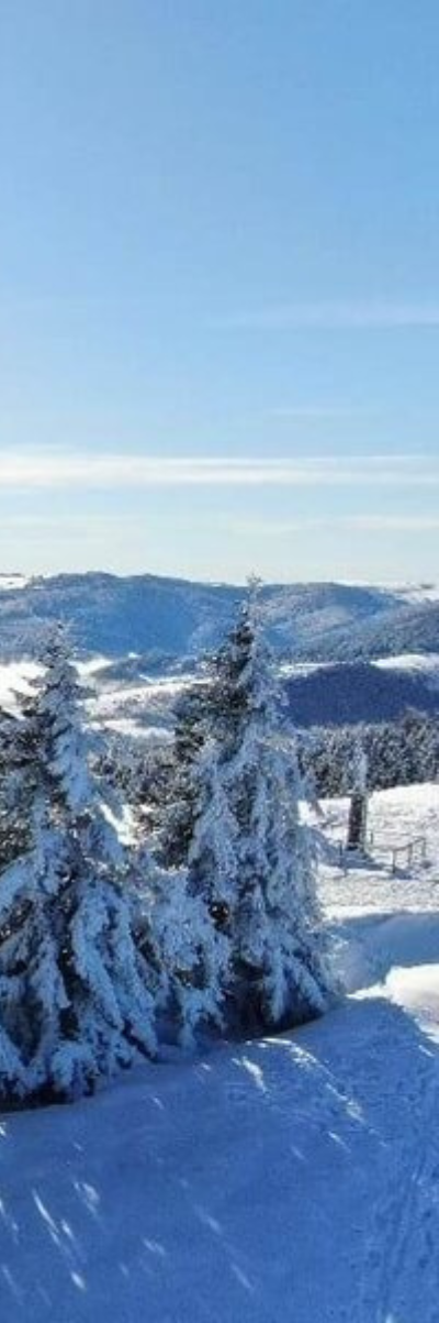 flor-event.eu - vue sur le paysage enneigé en Alsace